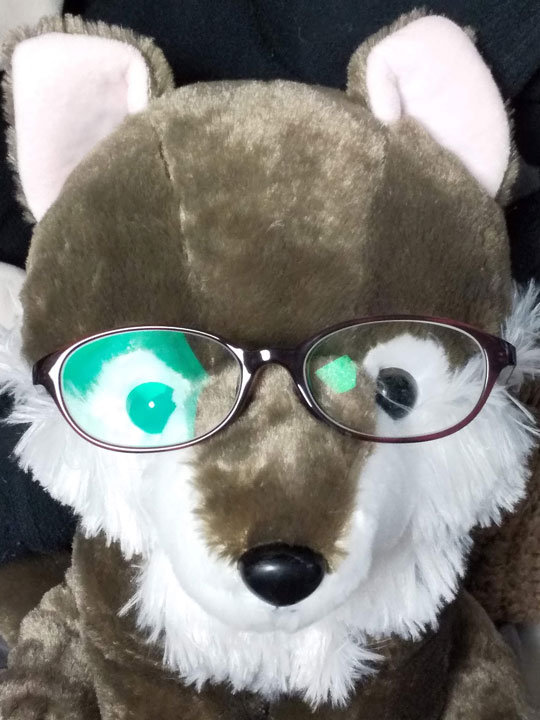 オオカミさんがメガネをかけた写真
