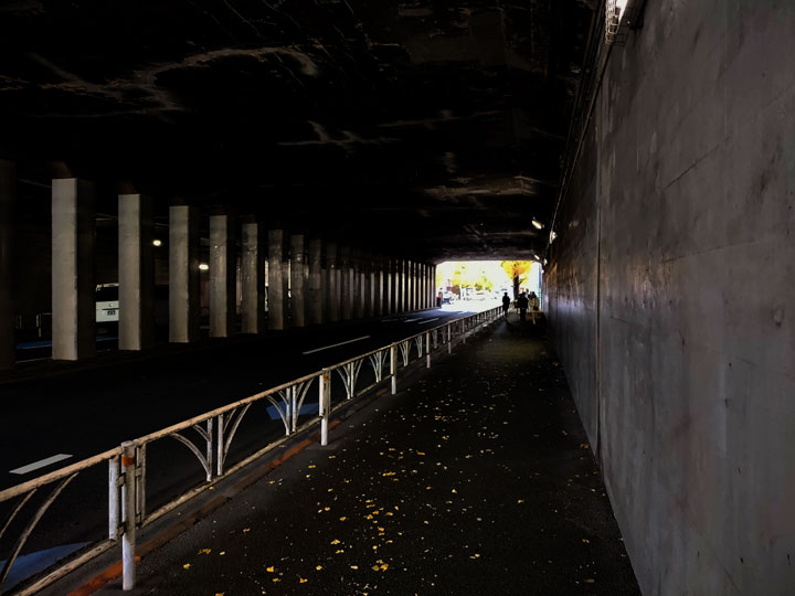 �o������