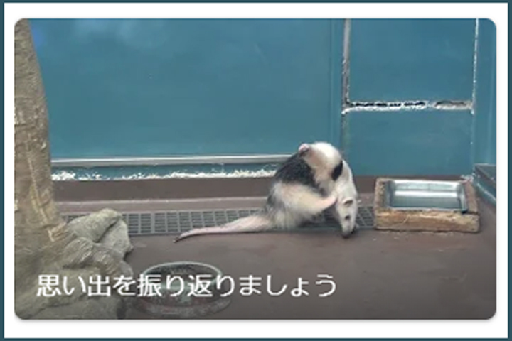 �^�G�����