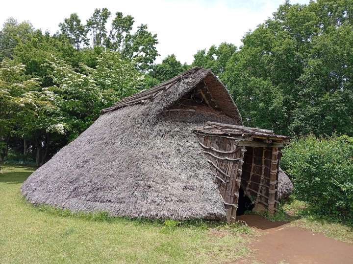 �G�����Z��